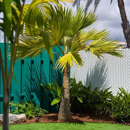 Miami Queens With Private Pool By Tenpropertiesgc Villa *